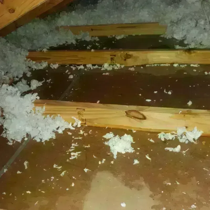 Attic Water Damage in Treasure Lake, PA